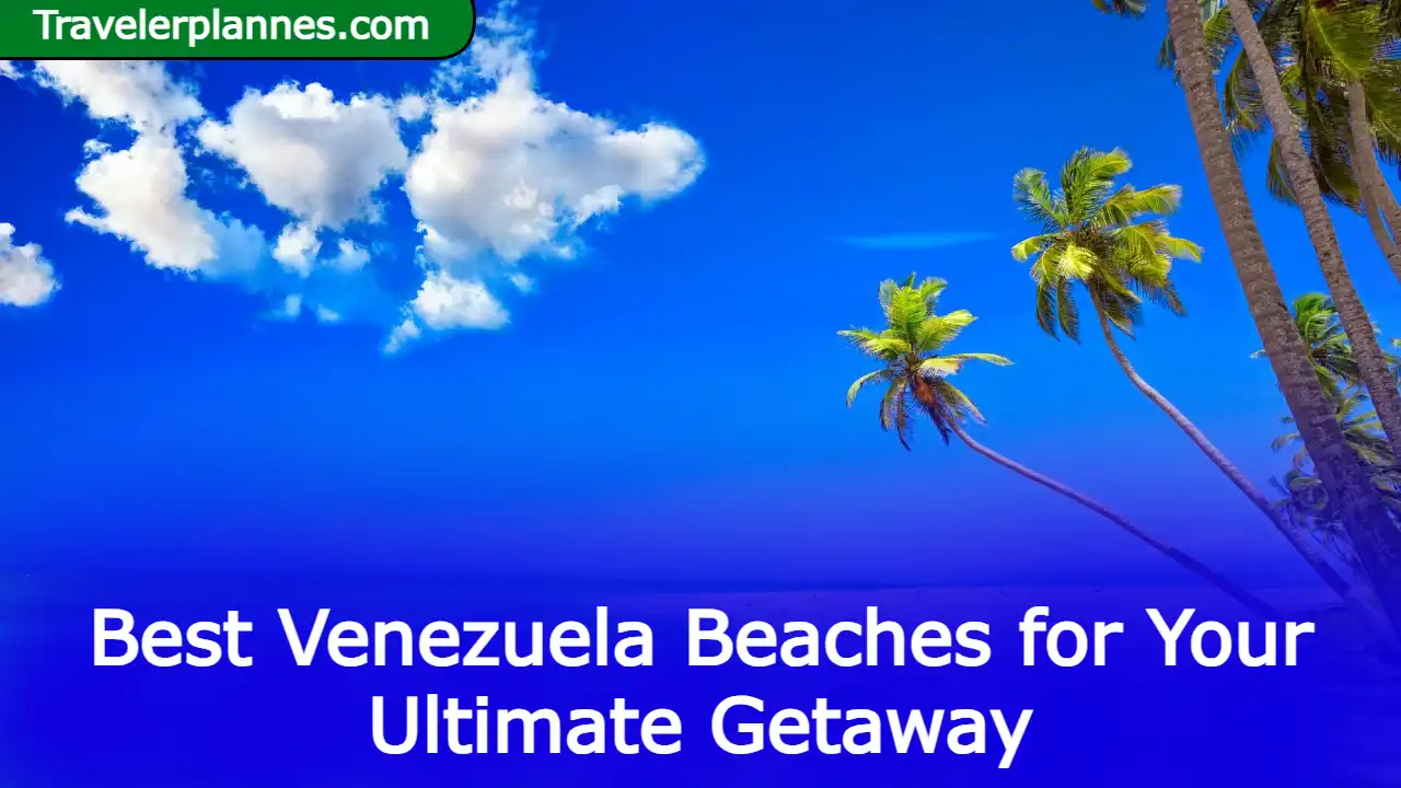 Best Venezuela Beaches for Your Ultimate Getaway