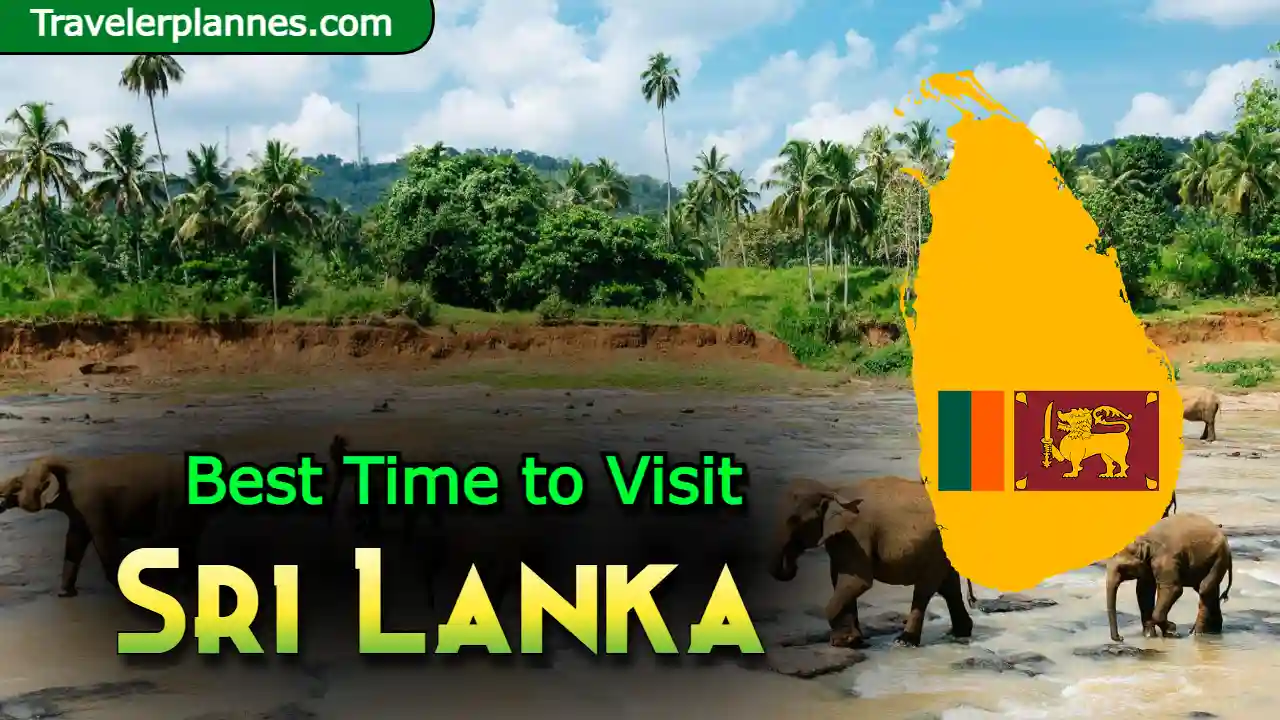 What is The Best Time to Visit Sri Lanka?