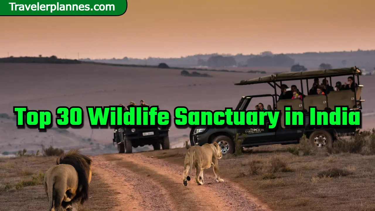 Top 30 Wildlife Sanctuary in India