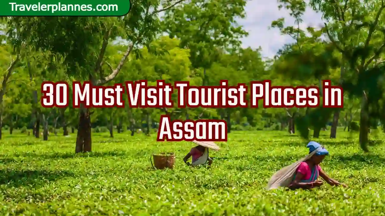 30 Must Visit Tourist Places in Assam